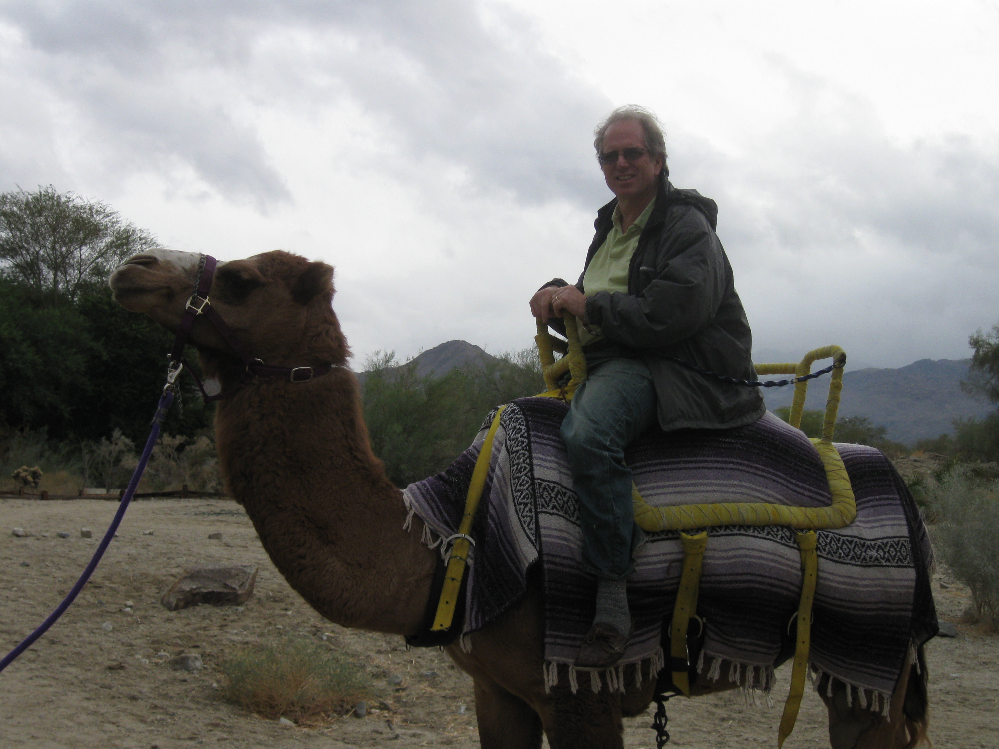 Dad riding a camel