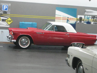 1955 Ford Thunderbird side