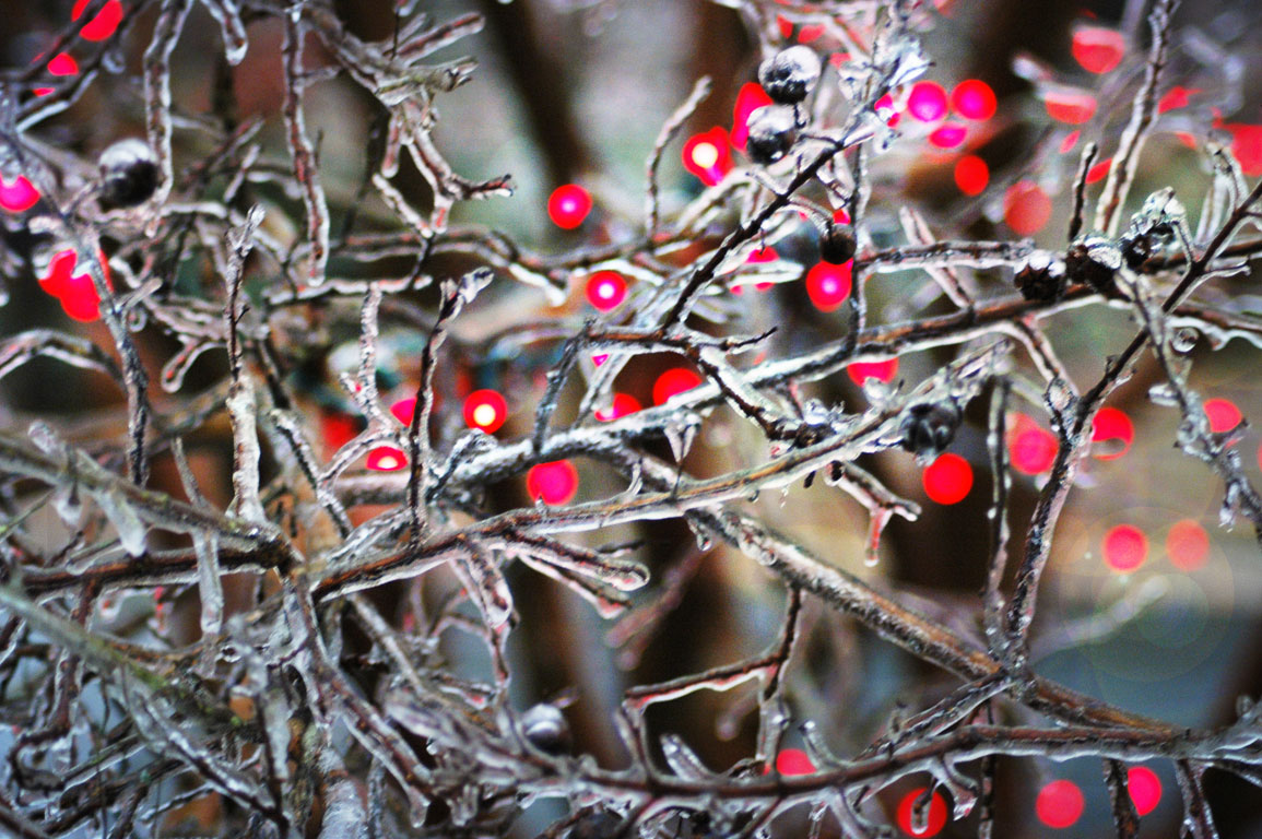 Ice and Lights