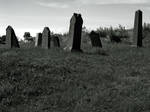 Cemetary 2 by LucieG-Stock