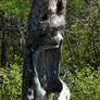 Screaming tree