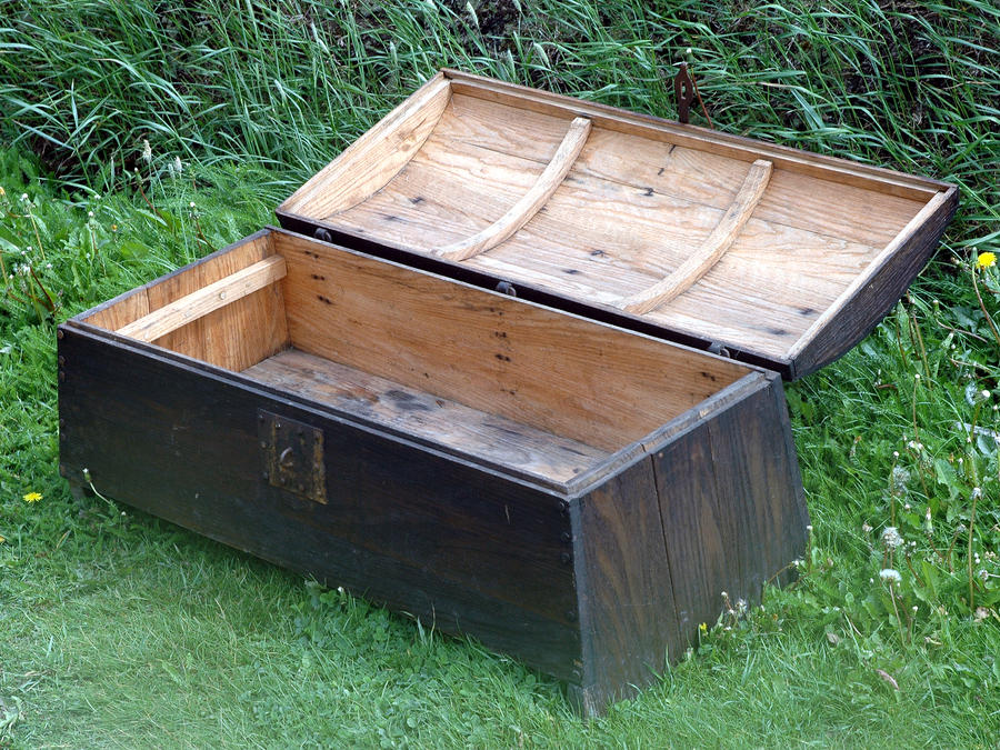 trunk by LucieG Stock on DeviantArt trunk by LucieG Stock on DeviantArt