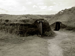 Viking settlement