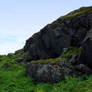 Near l'Anse-Aux-Meadows 3