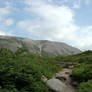 Path to Gros Morne 3