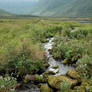 Brook by the mountain