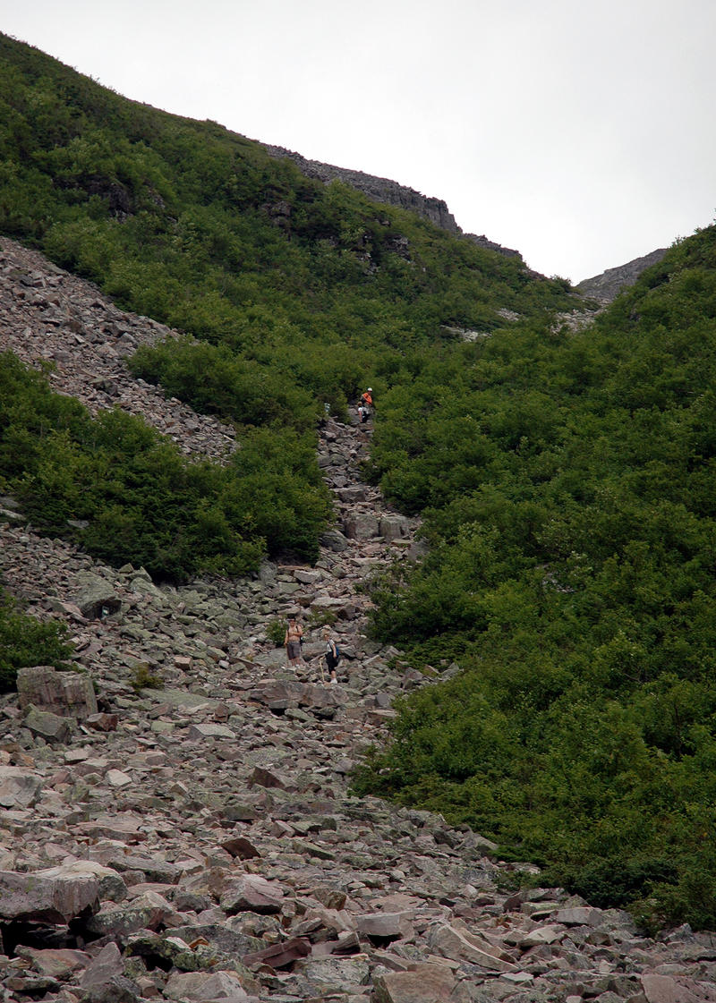 Climbers