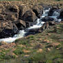 Brook on Tablelands 3