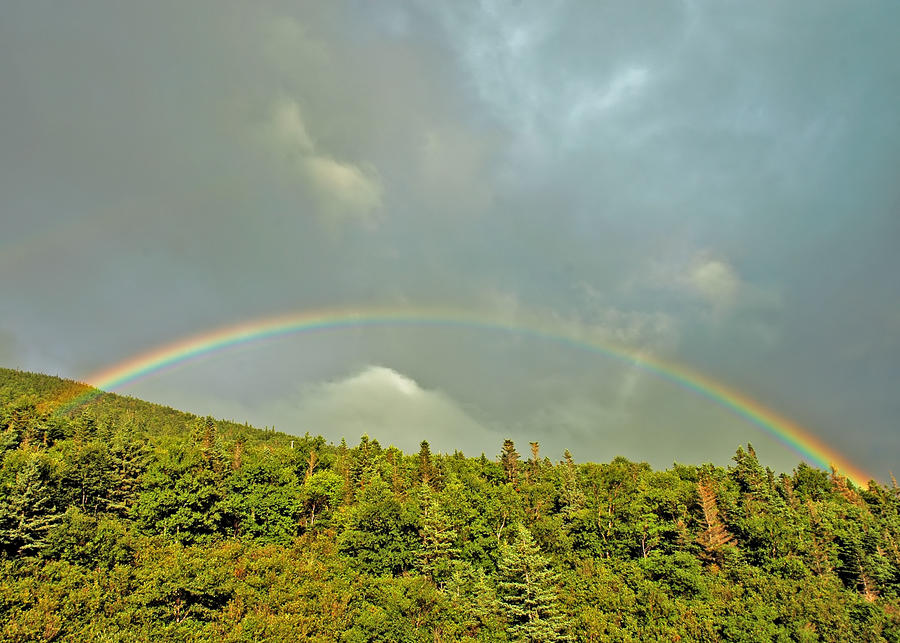 A pretty rainbow