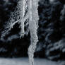 Icicles 3