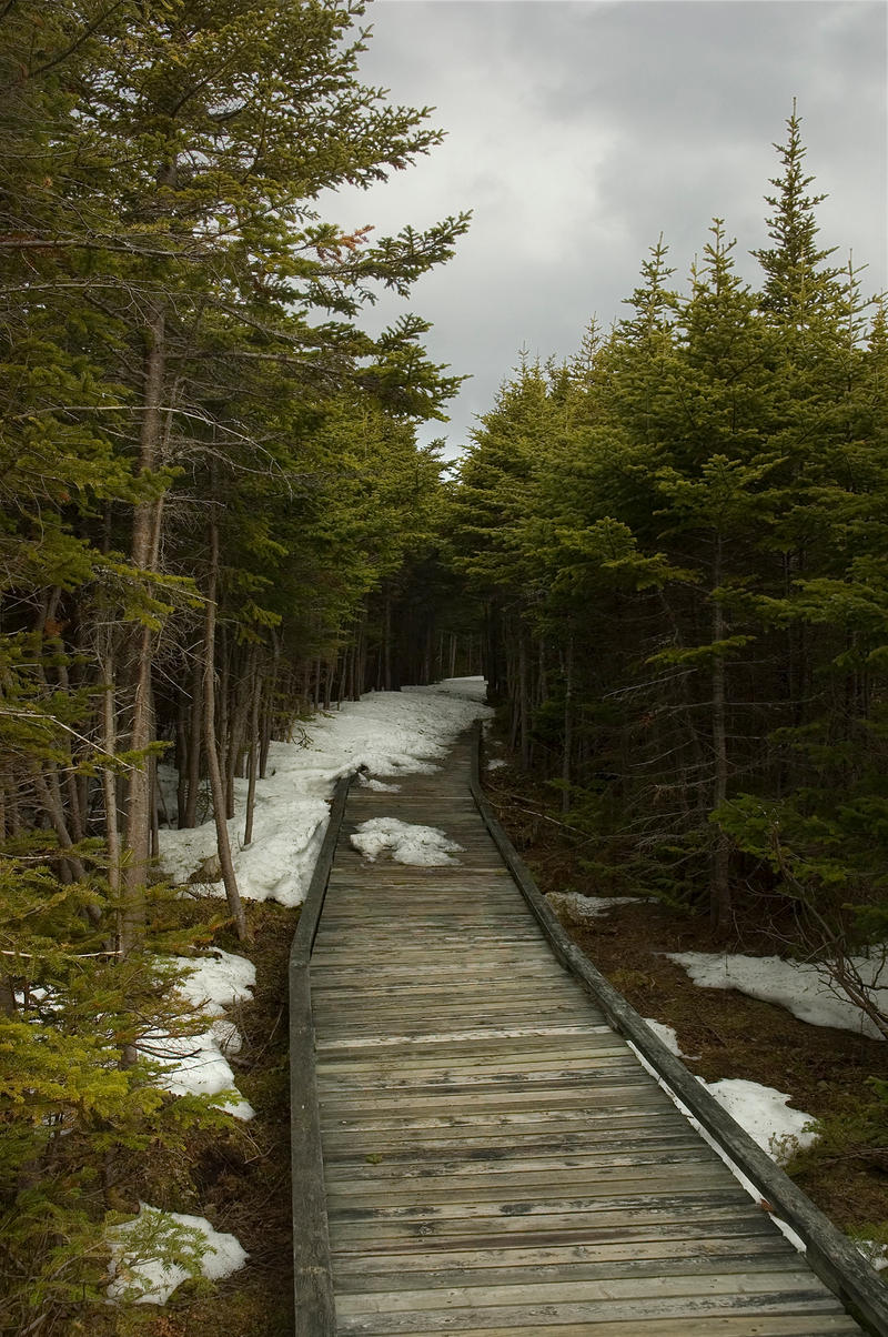 Boardwalk