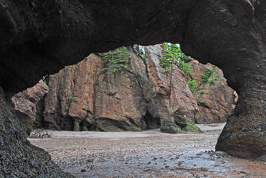 Hopewell Rocks 9