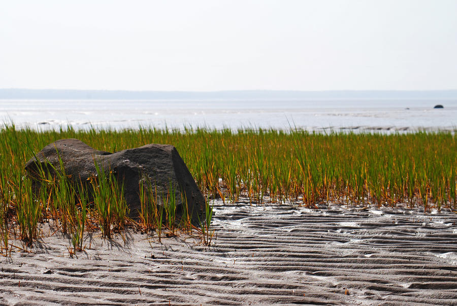 Grass, rock, sand and water