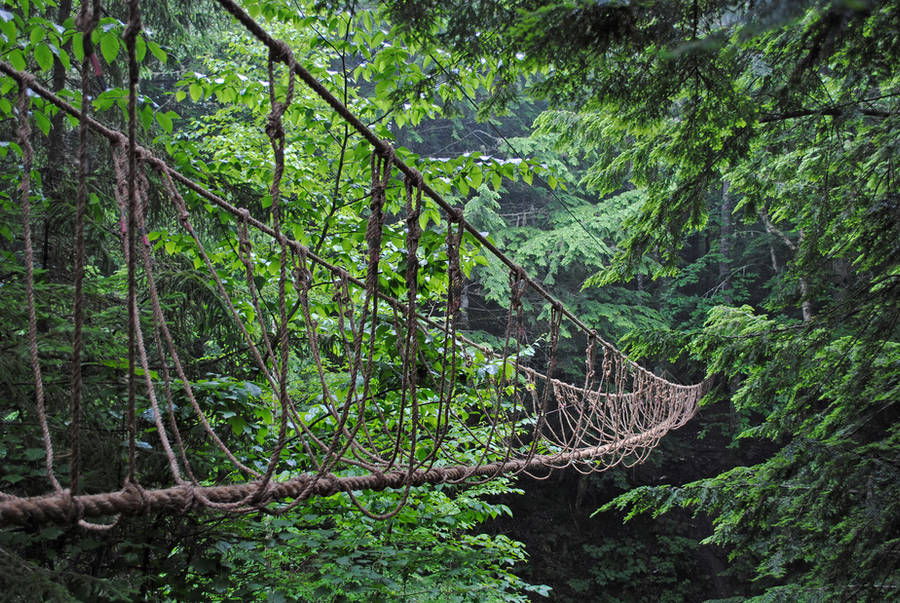 rope bridge by LucieG-Stock