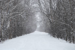 It's snowing 05