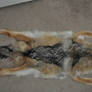 jackal pelt for sale