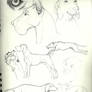 Dog Sketches