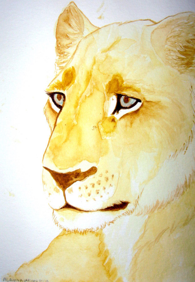 Watercolor Lion