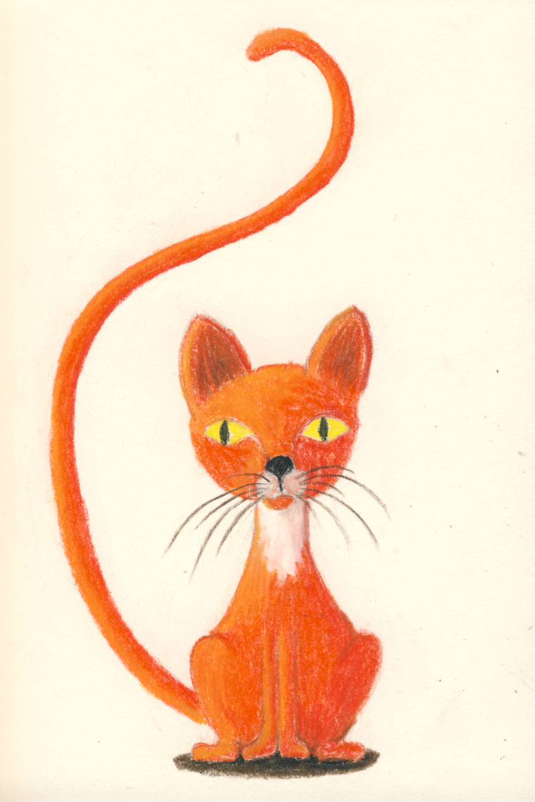 Rote Katze - Red Cat