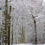 Premade background: Snow