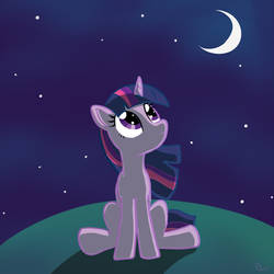 Twilight and the night