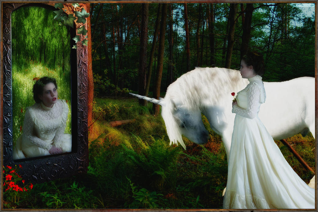 Magic Mirror by Wimmeke63 Magic Mirror by Wimmeke63