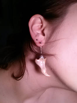 Squirrel Jaw Earrings