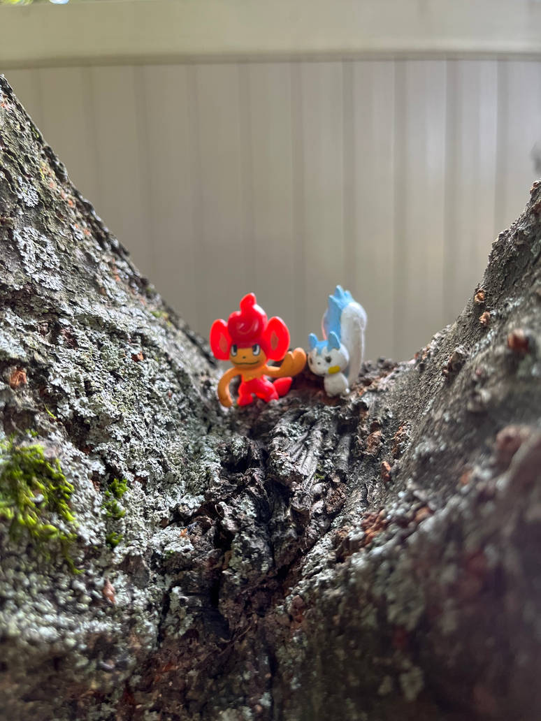 Pokemon In The Trees by ThomasPokemon97 on DeviantArt