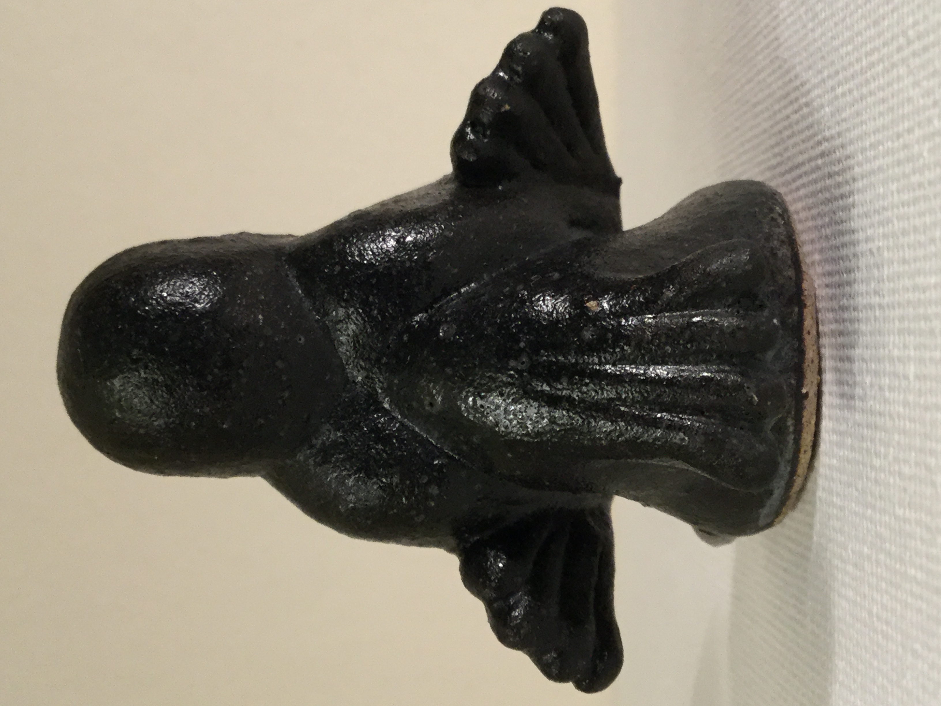 Crow Back View by BassoeG on DeviantArt