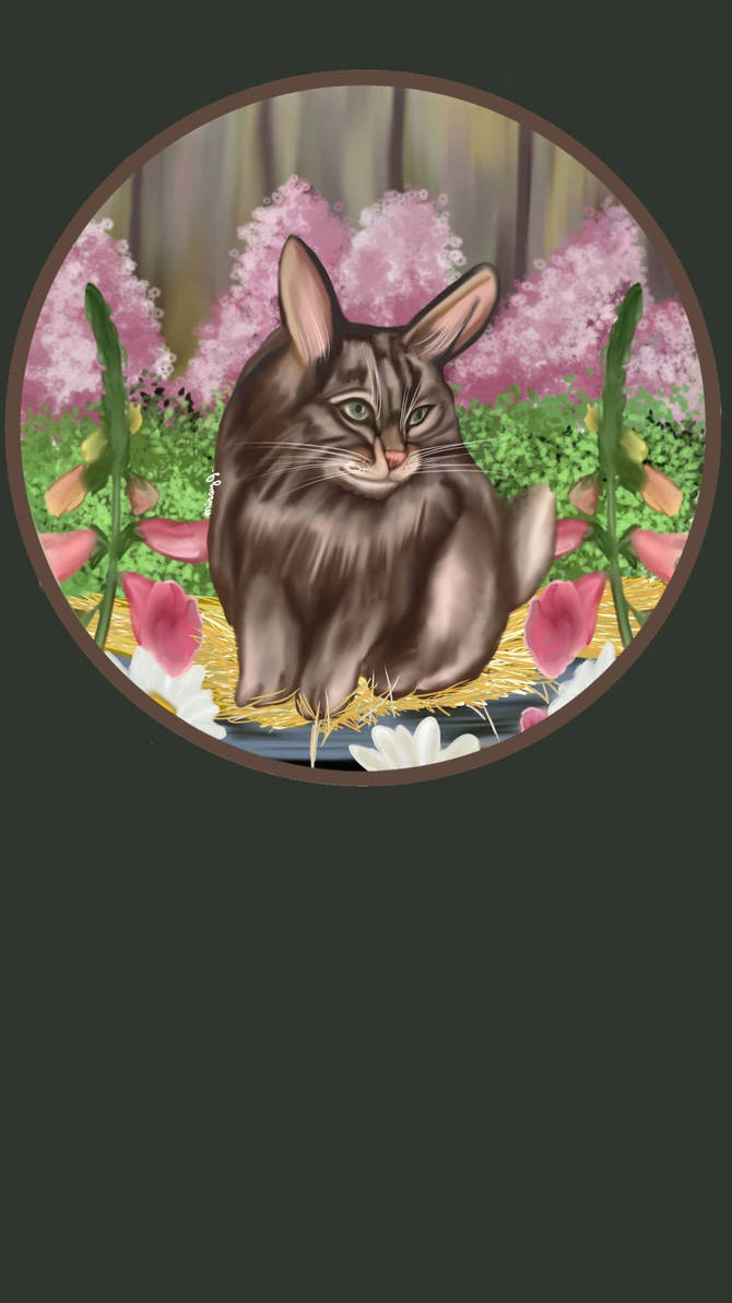 Cabbit (Cat And Rabbit) by MissyJS on DeviantArt