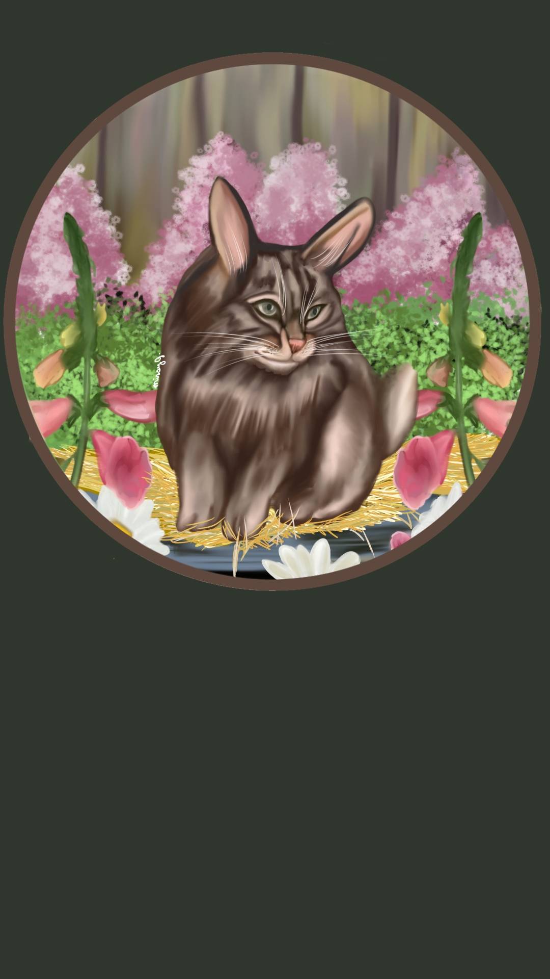 Scrabbit Cat Rabbit Cabbit (Cat And Rabbit) by MissyJS on DeviantArt