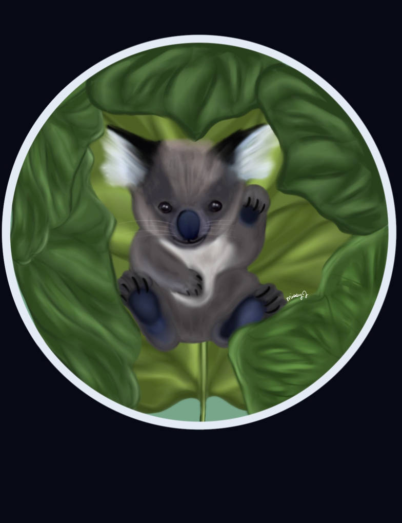 Koala And Rabbit Koabit (Koala And Rabbit) by MissyJS on DeviantArt