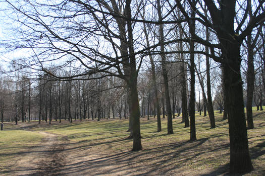 Spring mud