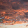 The dawn_1