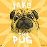 Jake the Pug