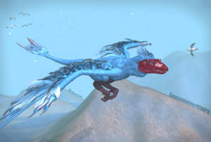 A male Blood Beak Dragon