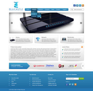 Blue Castle Website Design