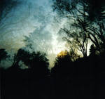 Holga- Double Take by paisleac