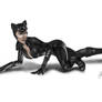 catwoman