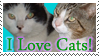 I love Cats: Stamp by Katze-Cat-KuroNeko