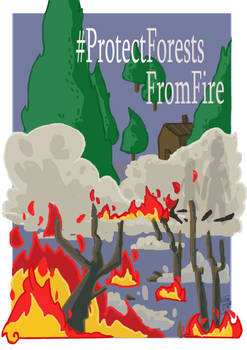 Protect Forests from Fire