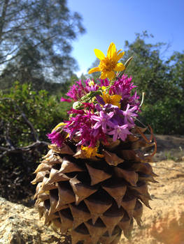 PineCone Bouquet