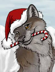 Just for u christmas wolf