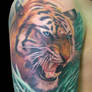 Tigre B Cover Up After