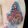 Mariposa Cover Up After