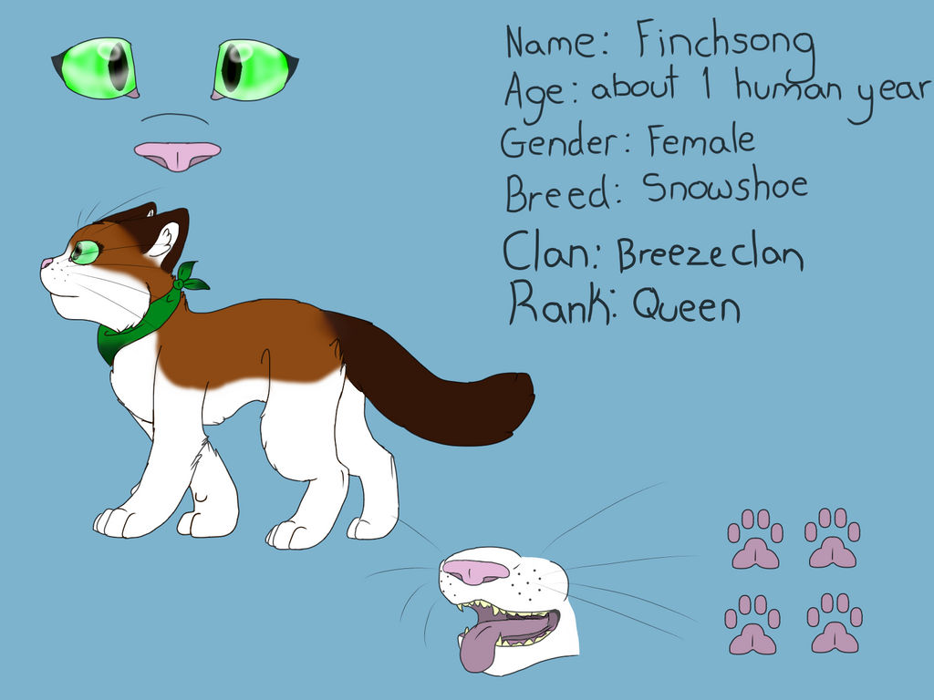 cat oc Finchsong reference