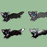 Breeding results for Star-Kittyy