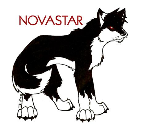 Novastar ref by Novastar624 on DeviantArt