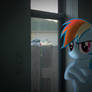 Dashie by the window