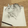 Rat (3D drawing)